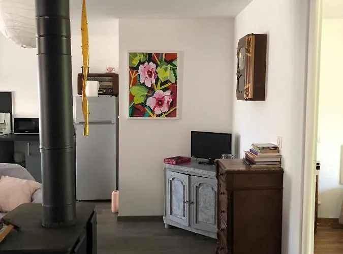 Le Monrepos Avec Bain Nordique * Bielle