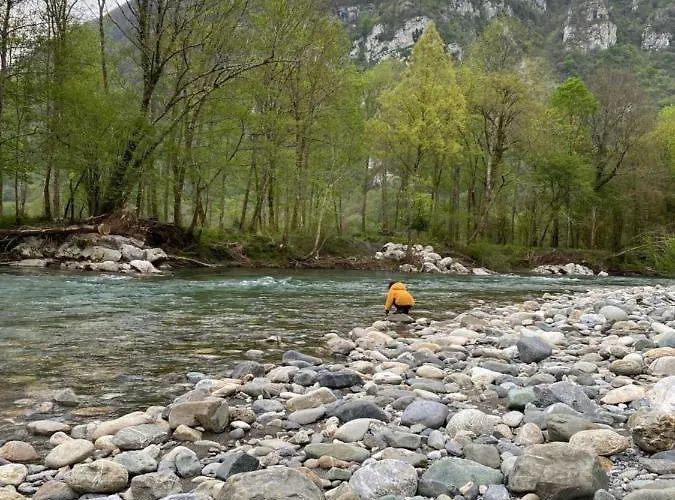 Le Monrepos Avec Bain Nordique Lägenhet